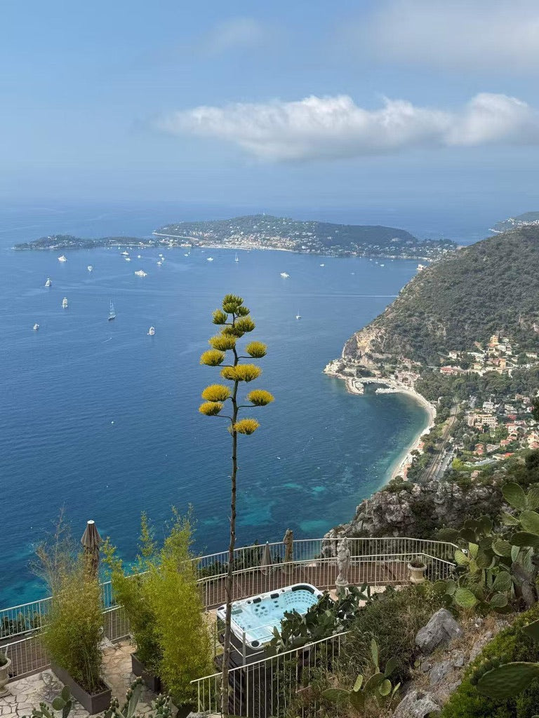 Spa Ecstatic Mighty Wave