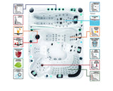 Spa Ecstatic Mighty Wave